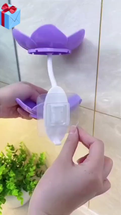 Wall Mounted Double Layer Flower Shaped Soap Holder
